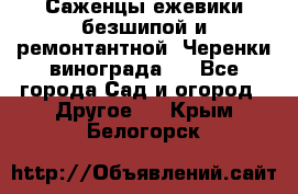 Саженцы ежевики безшипой и ремонтантной. Черенки винограда . - Все города Сад и огород » Другое   . Крым,Белогорск